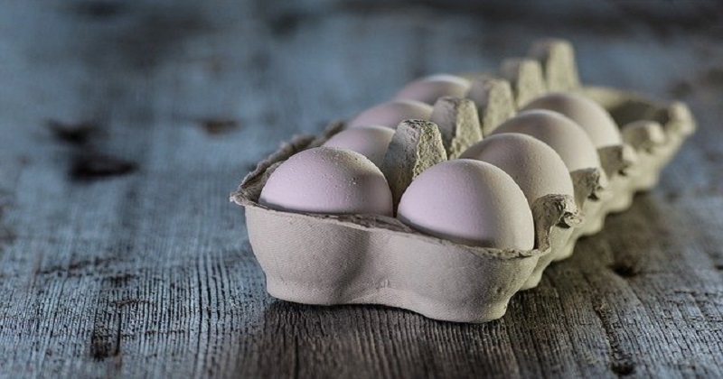 Os benefícios do ovo para a saúde