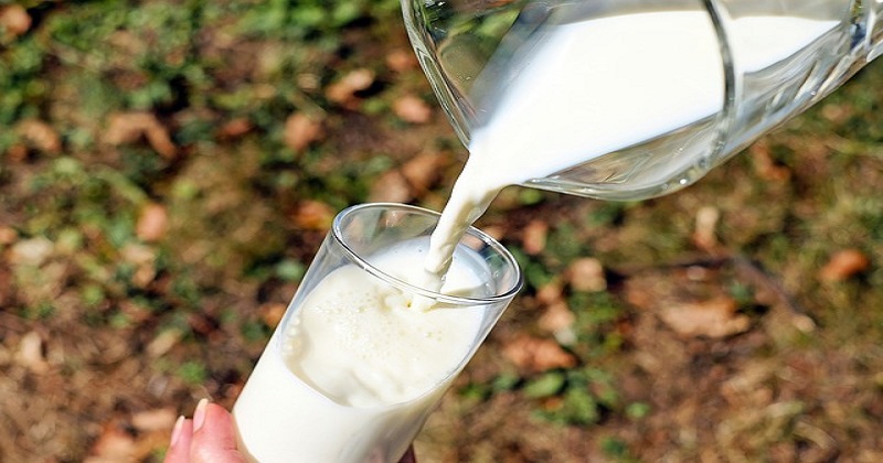 Conheça o benefícios do leite